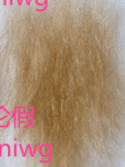 Blonde Pubic Hair +$50.0