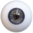Blue-Green Eyes $0.0