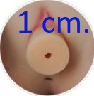Removable Vagina (1 cm diameter)