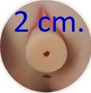 Removable Vagina (2 cm diameter)