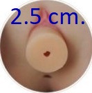 Removable Vagina (2.5 cm diameter) $0.0