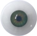 Olive Green Eyes +$25.0