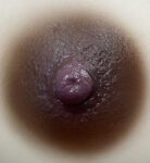 Dark Brown Nipple