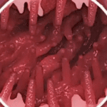 Tentacle Hell