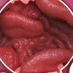 Tongue Fantasy