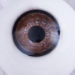 Brown 19-R02 Eyes