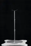 Yes, Please add a doll stand to my order +$75.00