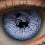 Eyes 11