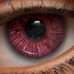 Eyes 13
