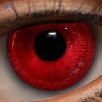 Eyes 15