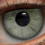 Eyes 16