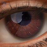 Eyes 22
