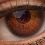 Eyes 23