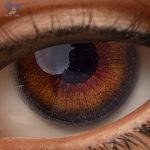 Eyes 24