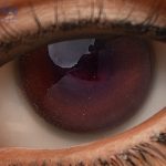 Eyes 25