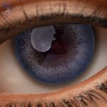 Eyes 29