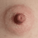 Graceful Daisy Areolas and Labia