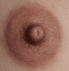 Misty Rose Areolas and Labia