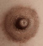Mysterious Lilac Areolas and Labia