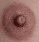 Passion Peony Areolas and Labia